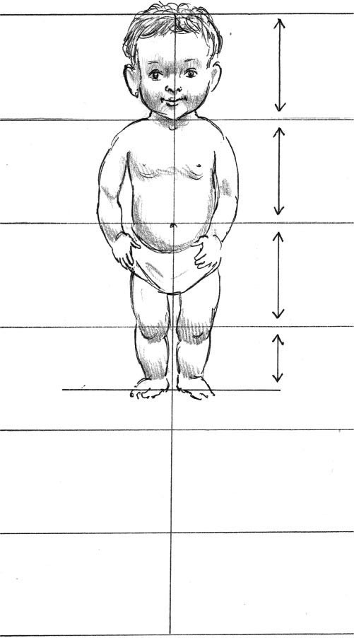 At the beginning of life the head is much larger in proportion to the rest of - photo 5