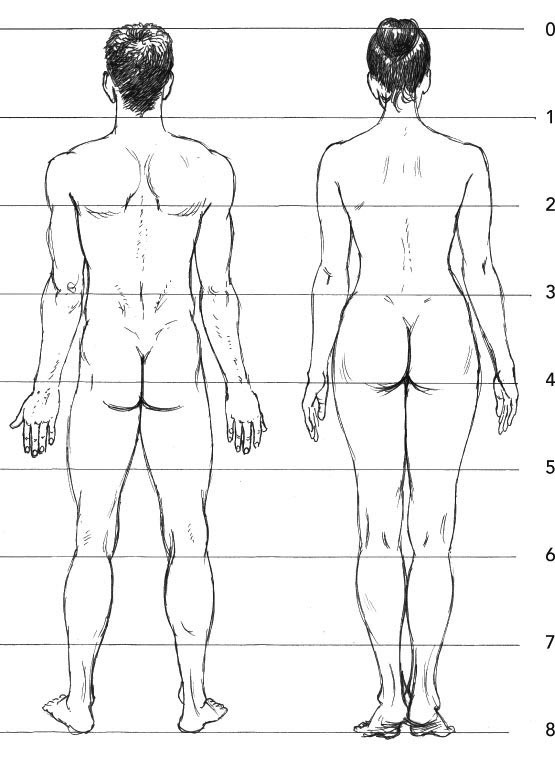 Proportions of children The proportions of childrens bodies change very - photo 4