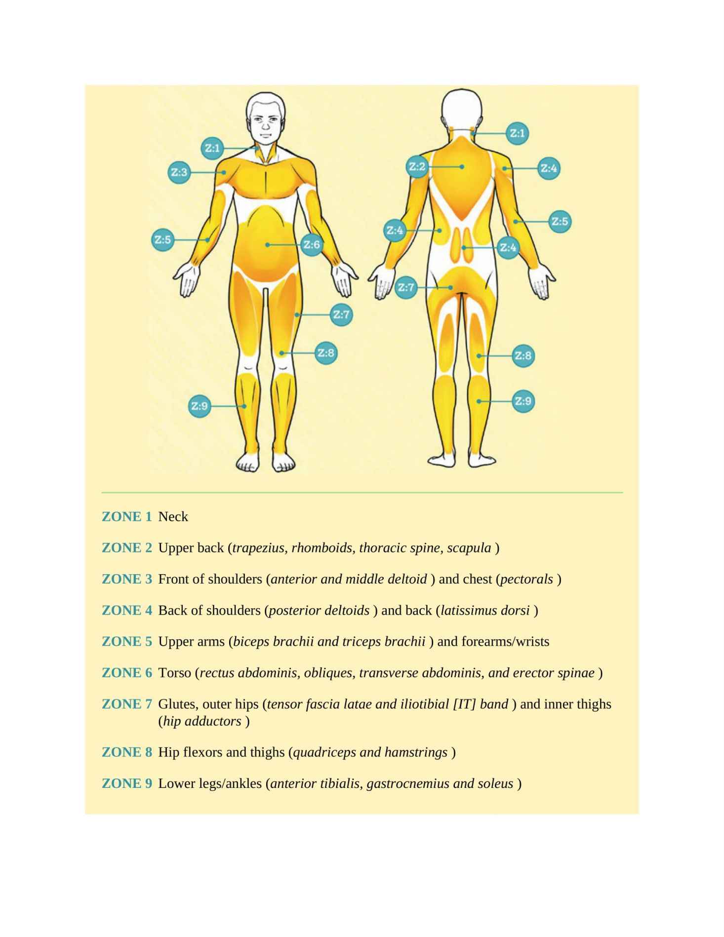 Stretching to Remain Young Straightforward Exercises to Keep You Adaptable Energized and Discomfort Free - photo 30