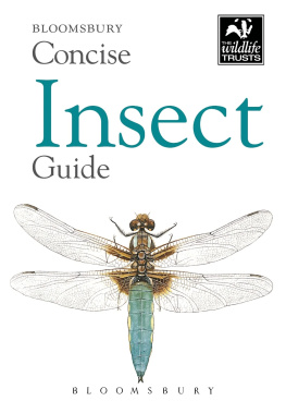 Bloomsbury - Concise Insect Guide