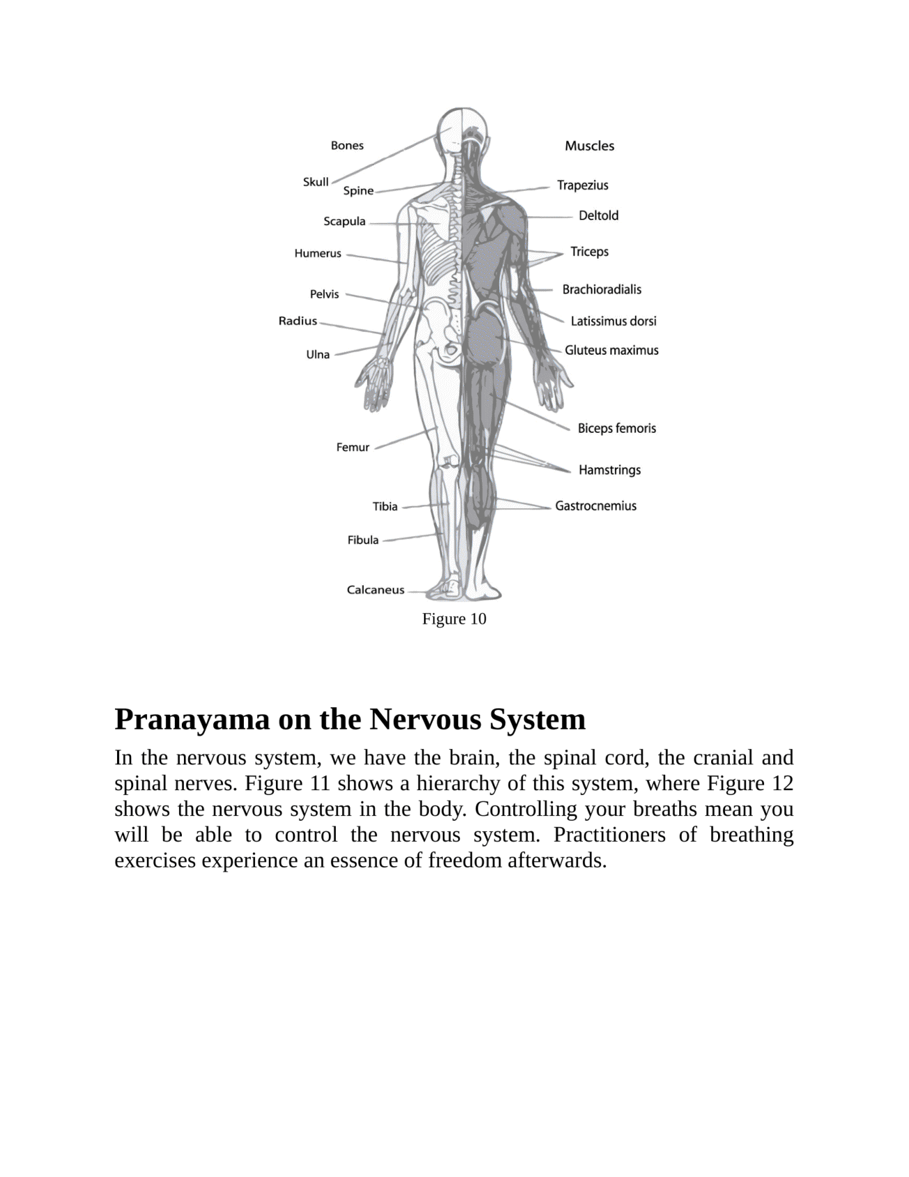 Breath Becomes Life Pranayama - The Yoga Exercise of Breathing - photo 33