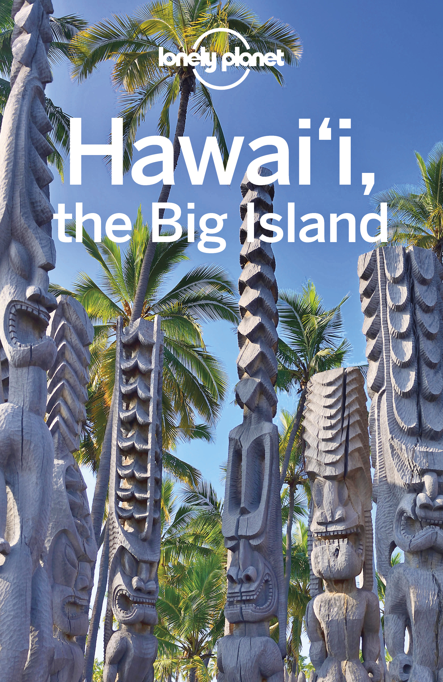 Lonely Planet Hawaii the Big Island 5 Travel Guide - image 1