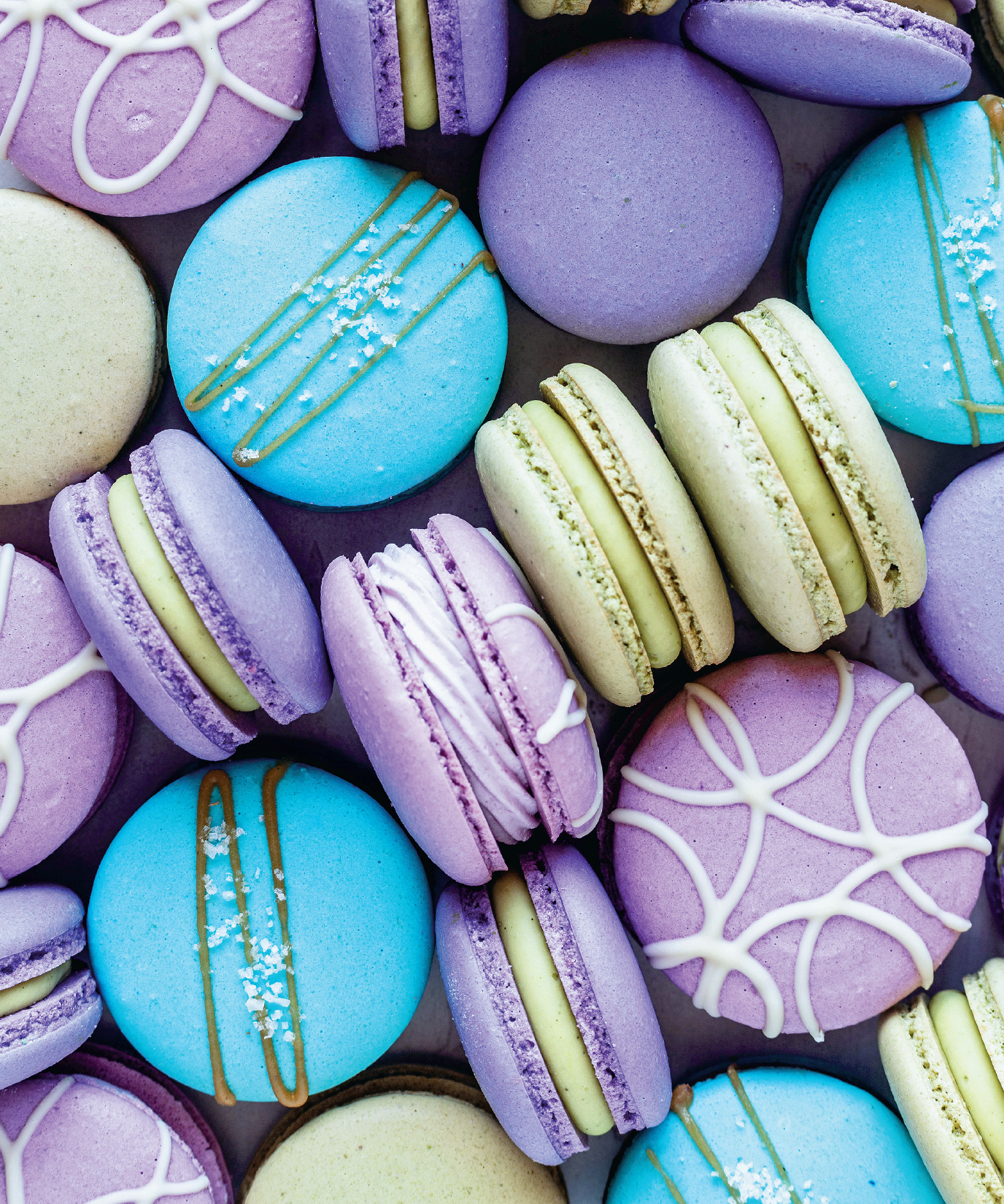 Macaron School Mastering the Worlds Most Perfect Cookie with 50 Delicious Recipes - image 2