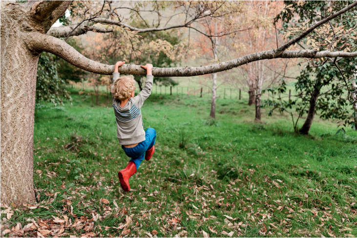 Humans and trees have been hanging out together since our very beginnings - photo 6