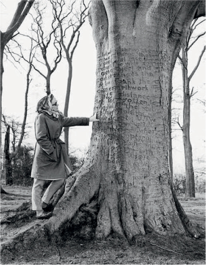 Joseph Tubbs poem grew with the tree for a further 170 years 6TH JANUARY - photo 12