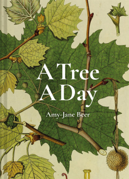 Amy-Jane Beer - A Tree A Day