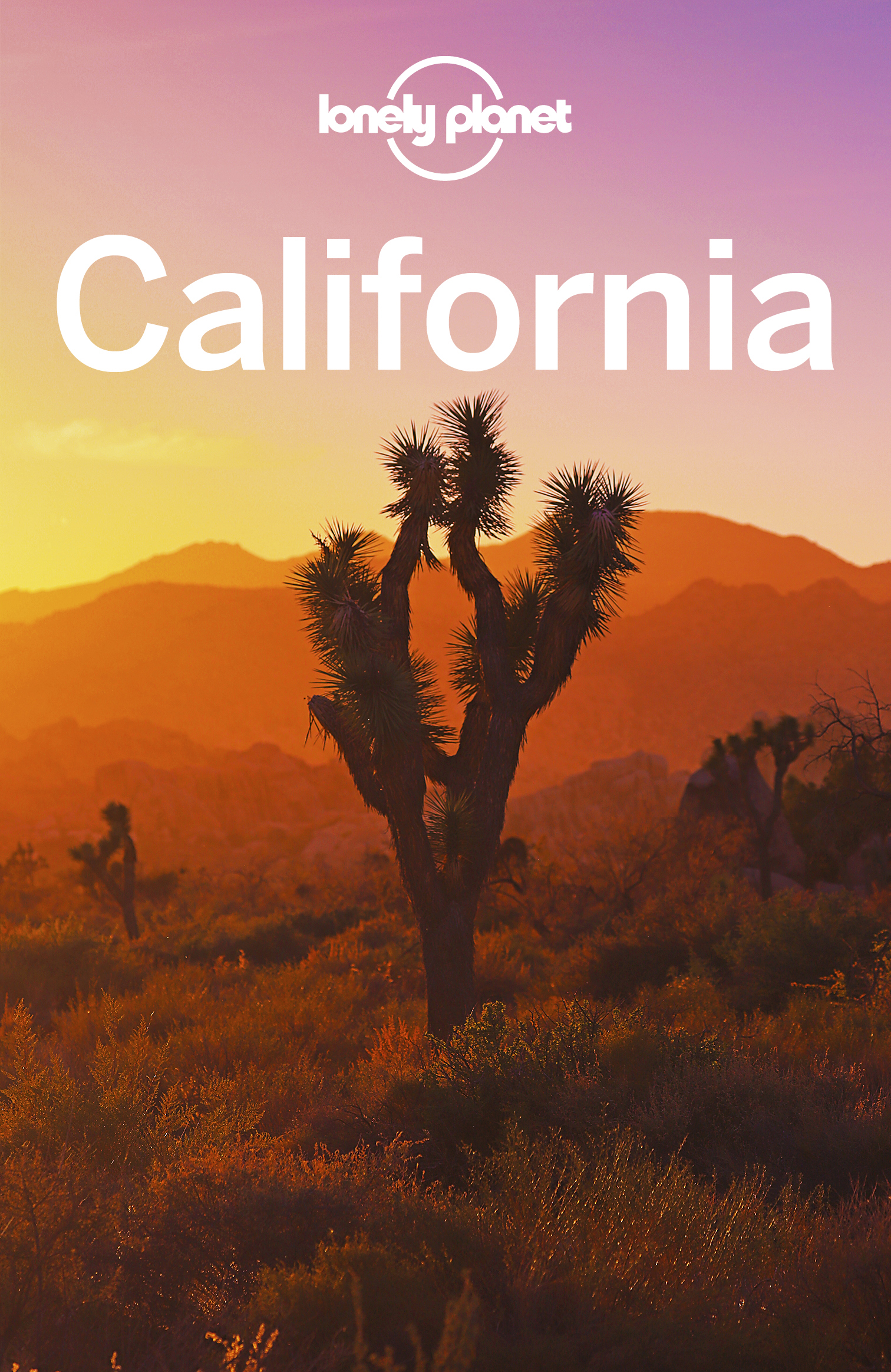 Lonely Planet California 9 Travel Guide - image 1