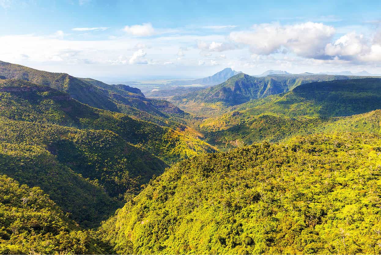 Top Attraction 4 Shutterstock Black River Gorges National Park Dramatic - photo 7