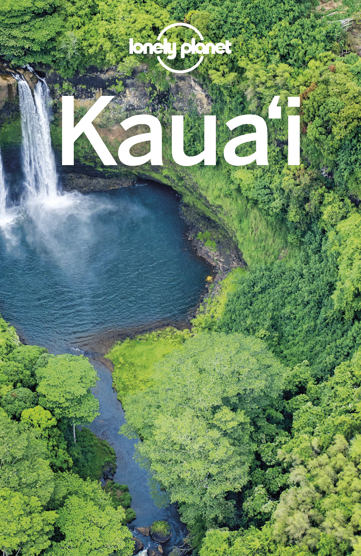 Lonely Planet Kauai 4 Travel Guide - image 1