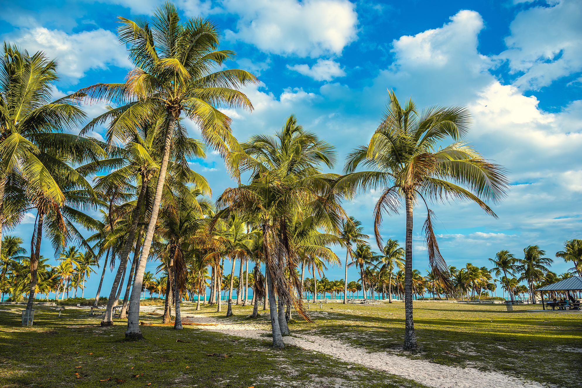 Key Biscayne GABRIELE MALTINTISHUTTERSTOCK Indian Key Historic State - photo 15