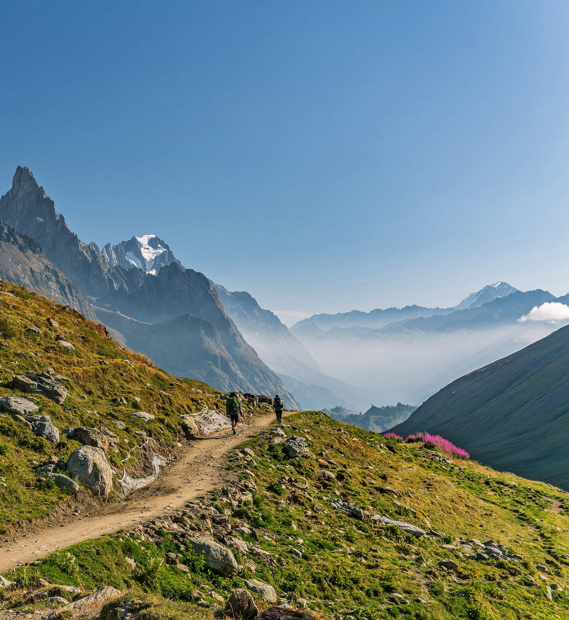 From ancient beech woods to high mountain meadows in a land once roamed by - photo 4