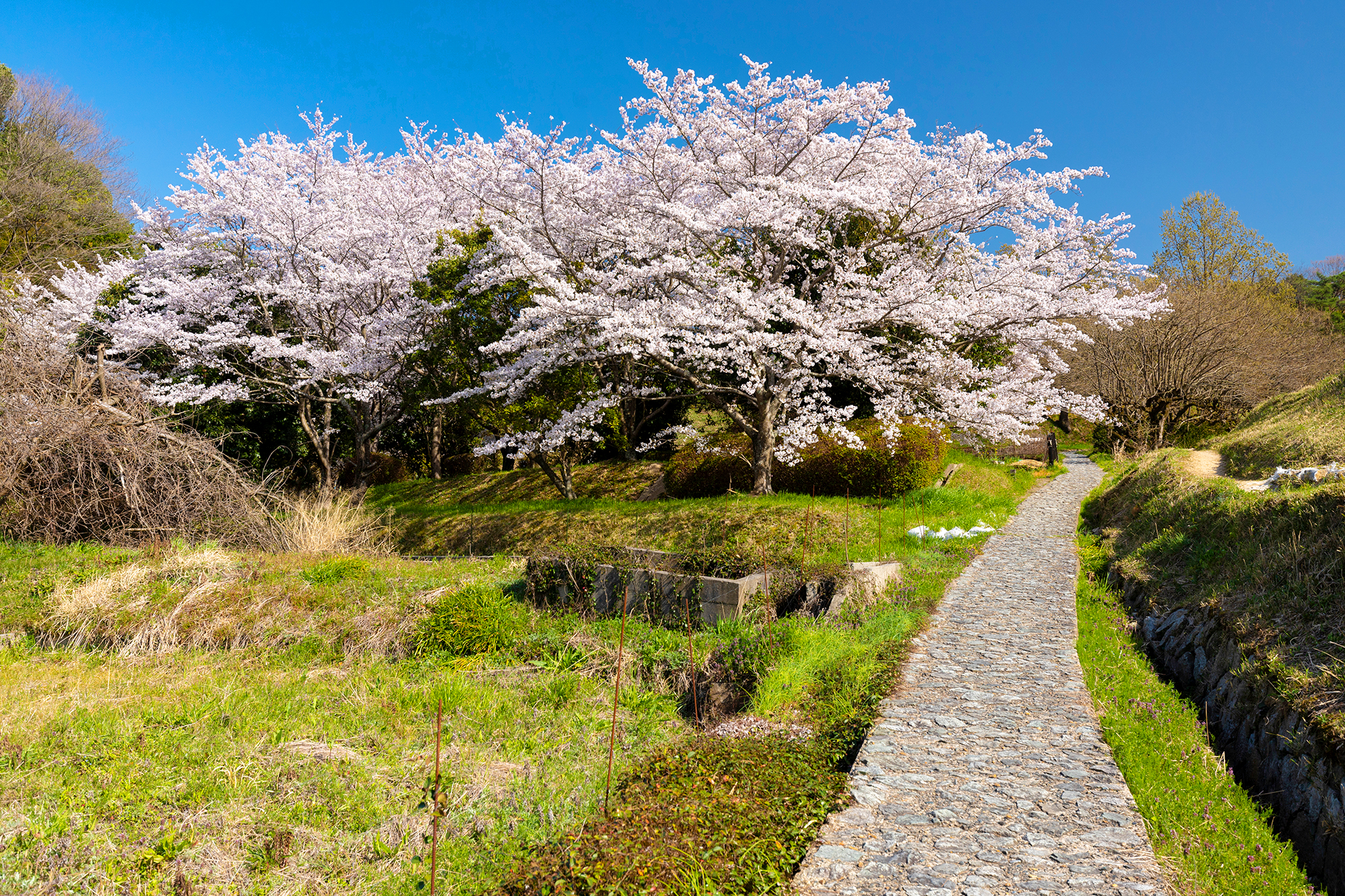 Thokus 700km-long Michinoku Coastal Trail officially opened in 2019 This is - photo 11