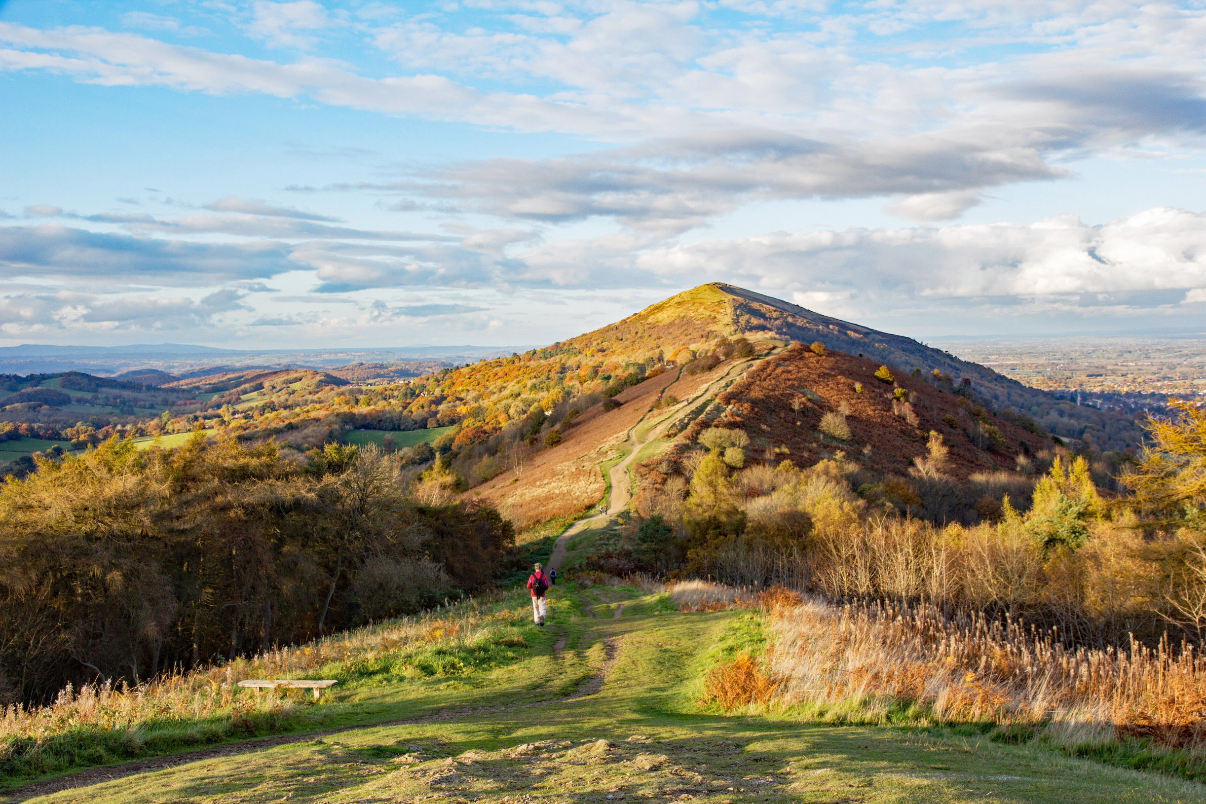 Best For ANDREW KEARTONALAMY STOCK PHOTO g WILD VIEWS Its far from a - photo 13