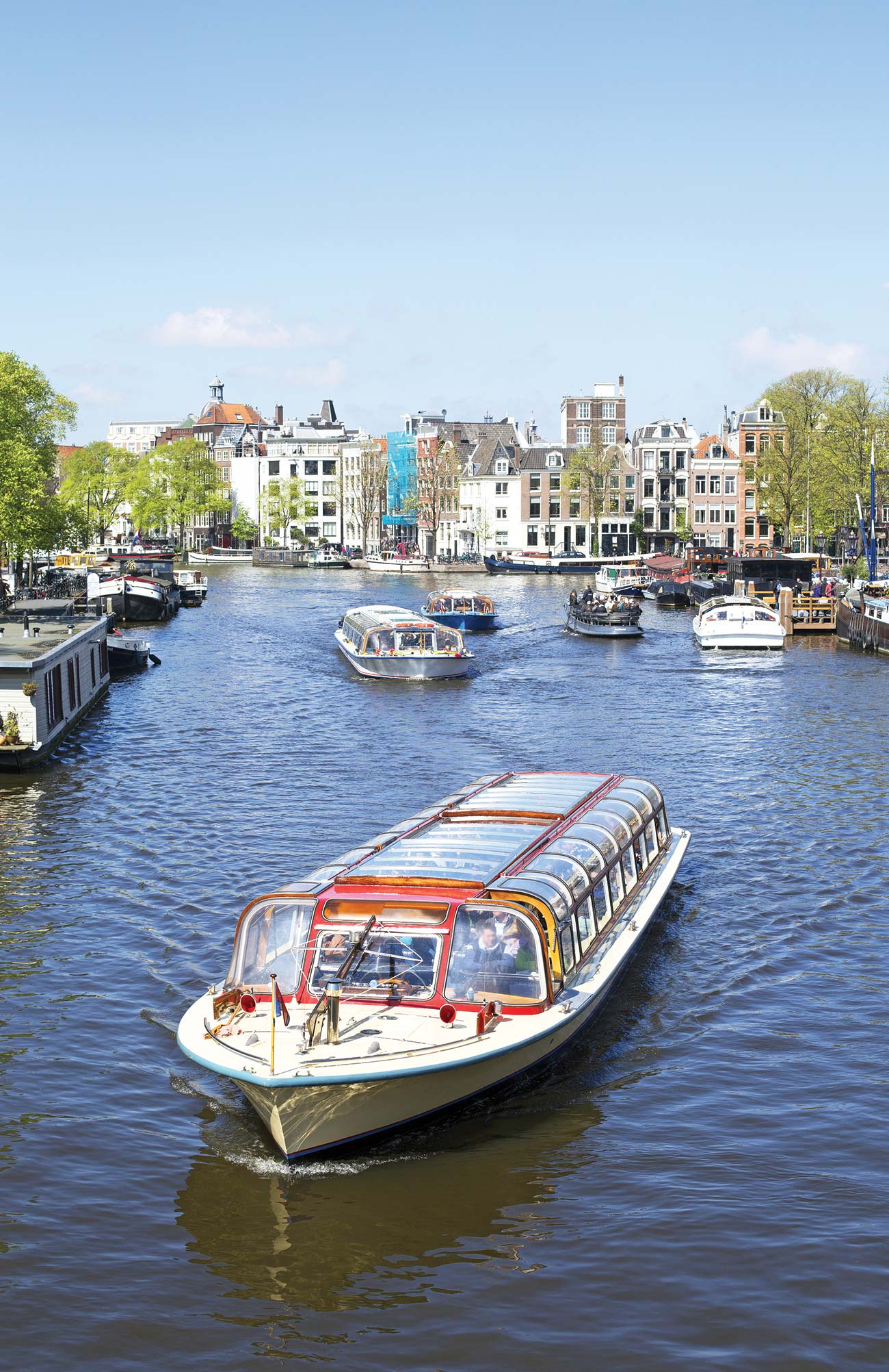 Amsterdams Amstel River National Tulip Day on Dam Square in Amsterdam - photo 5