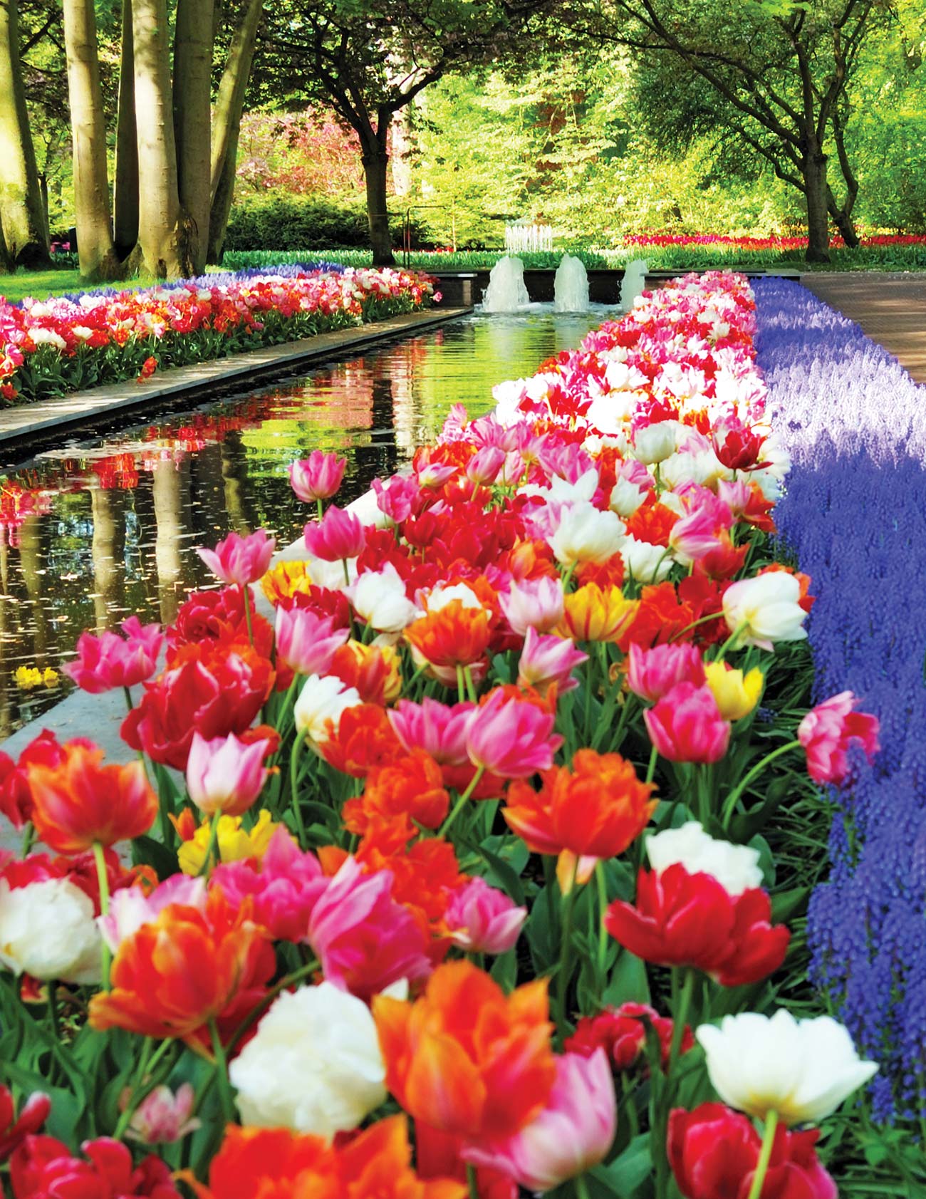 spring in the Keukenhof gardens Netherlands in - photo 13