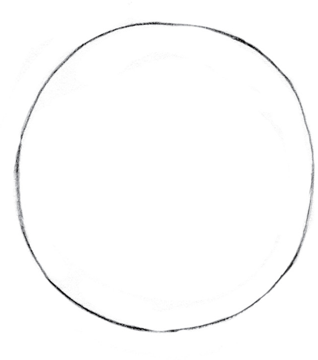 Then draw a vertical line down the center of the circle Draw half of an oval - photo 12