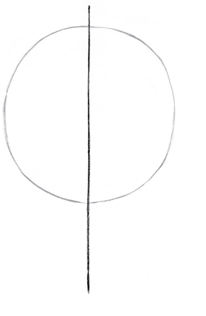 Draw half of an oval at the bottom of the circle to extend it downward Frame - photo 13