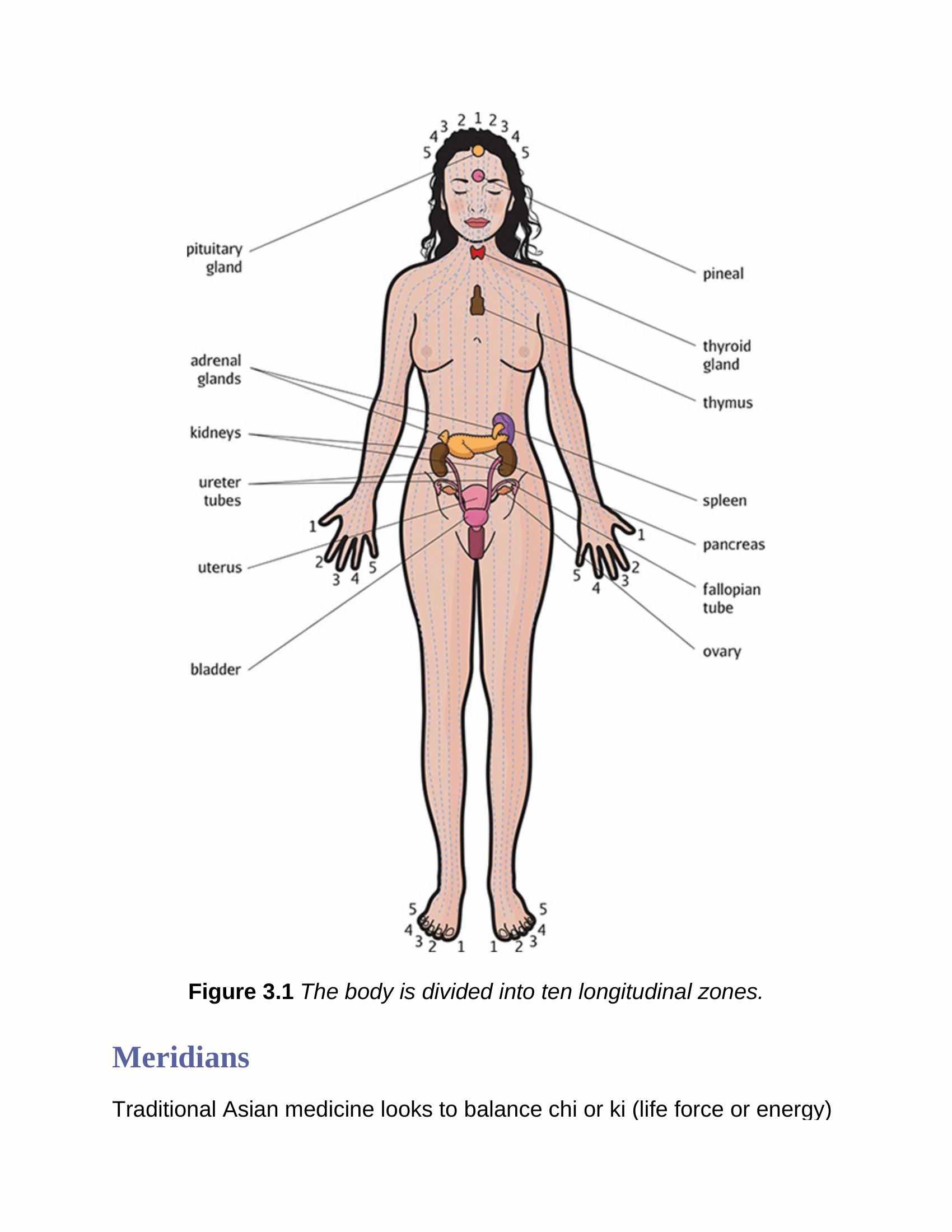 Yoga Journal Offers Your Guide to Reflexology Relieve Pain Reduce Stress and also Bring Equilibrium to Your Life - photo 34