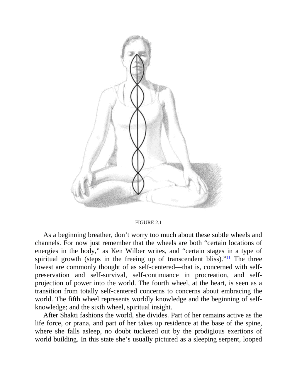 The Yoga exercise of Breath A Step-by-Step Guide to Pranayama - photo 40