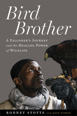 Rodney Stotts Bird Brother: A Falconers Journey and the Healing Power of Wildlife