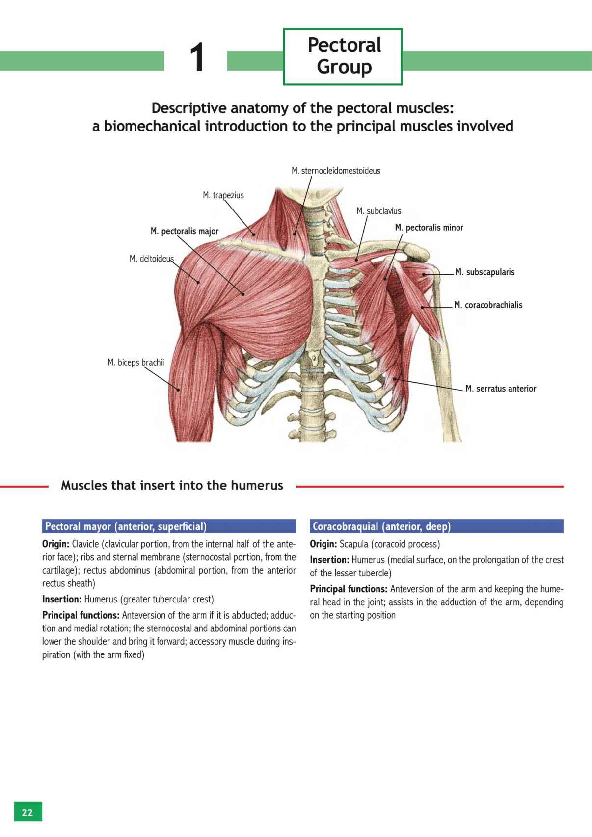 Stretching Workouts Encyclopedia - photo 18