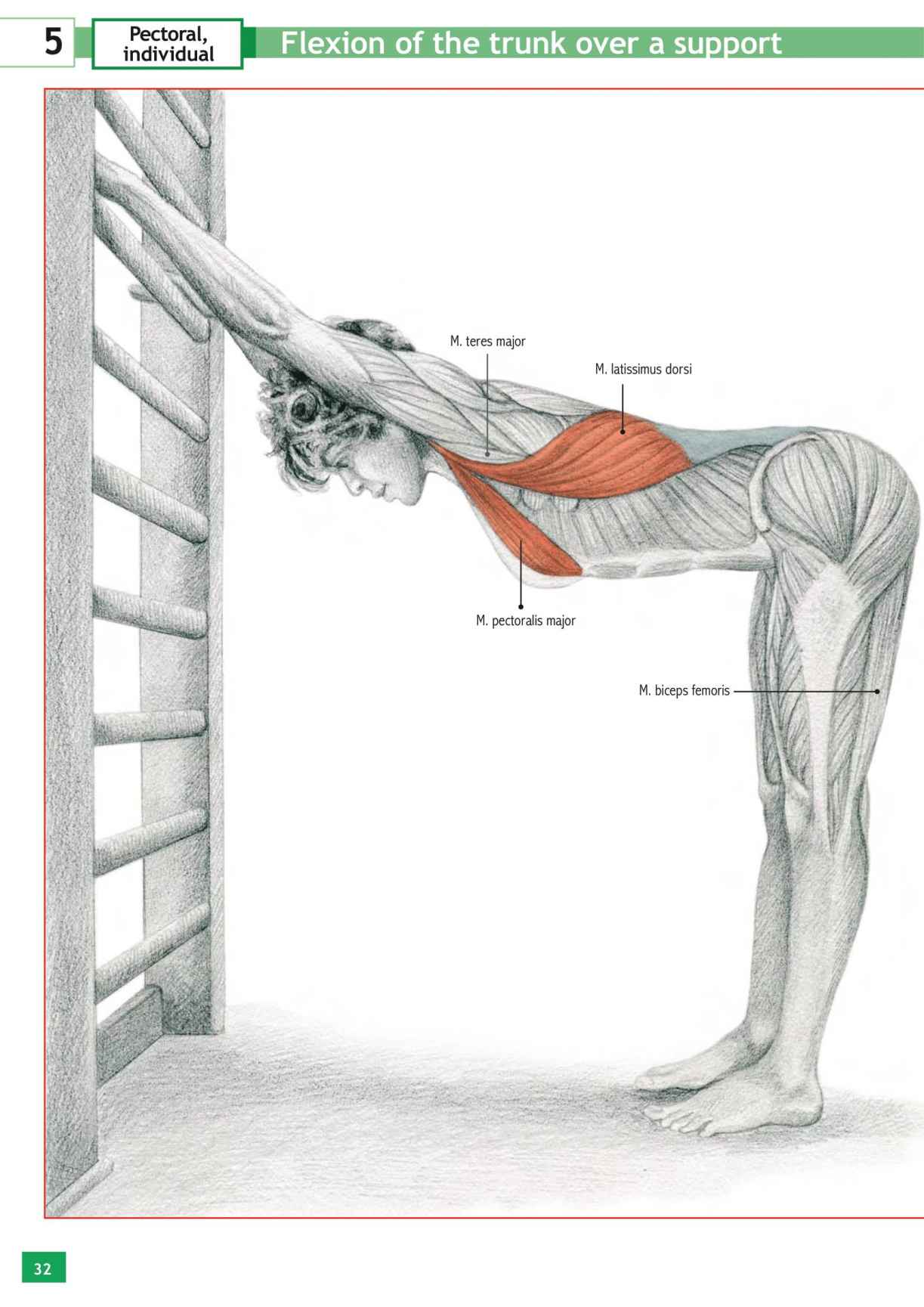 Stretching Workouts Encyclopedia - photo 28