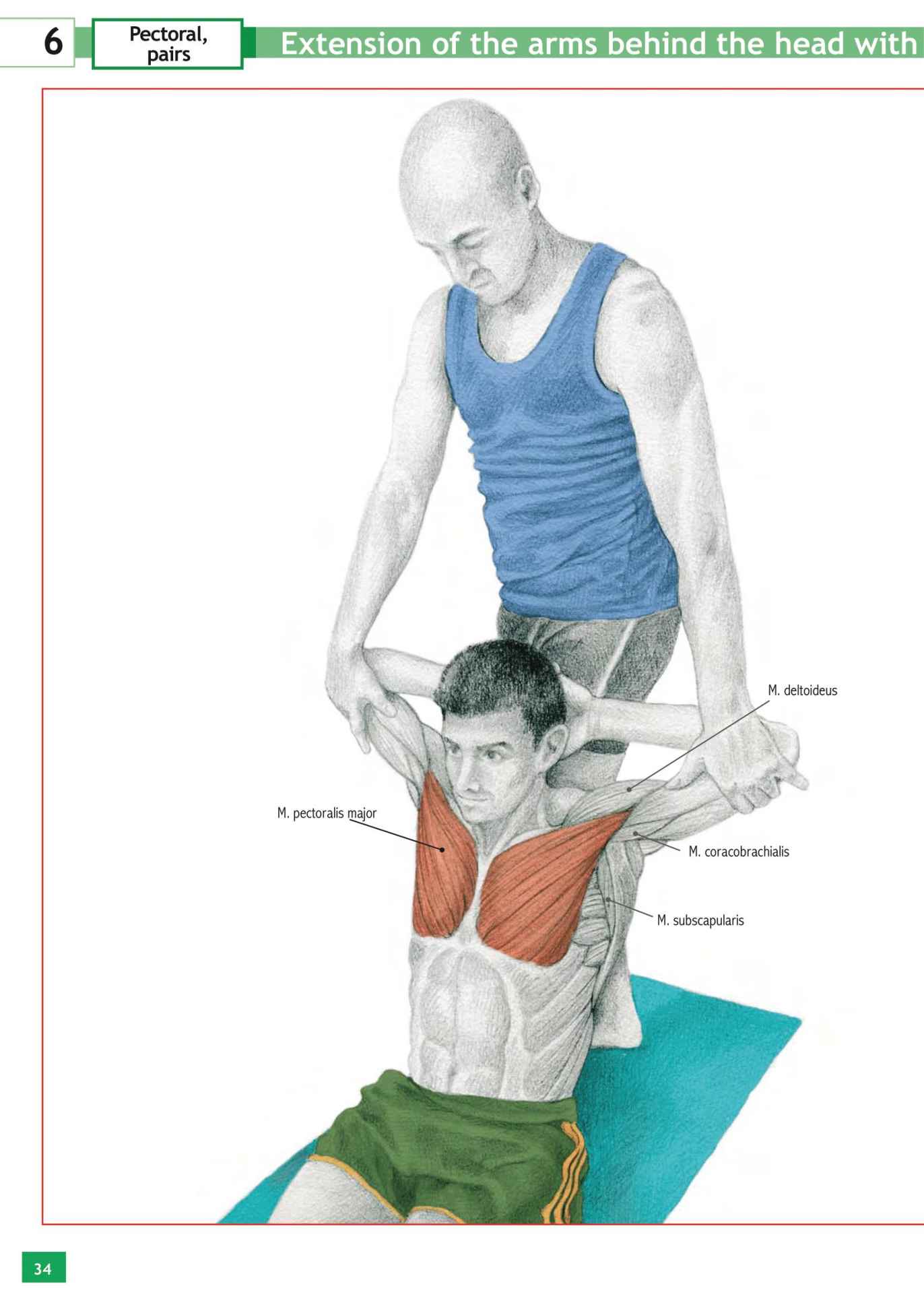 Stretching Workouts Encyclopedia - photo 30