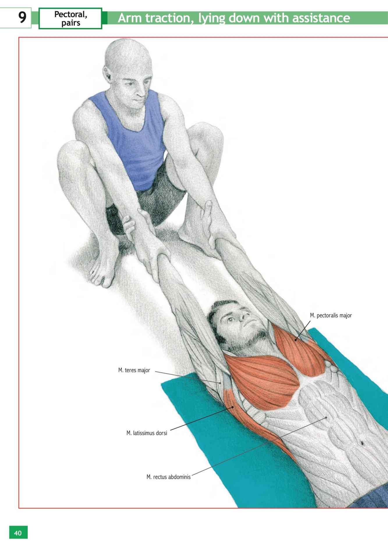 Stretching Workouts Encyclopedia - photo 36