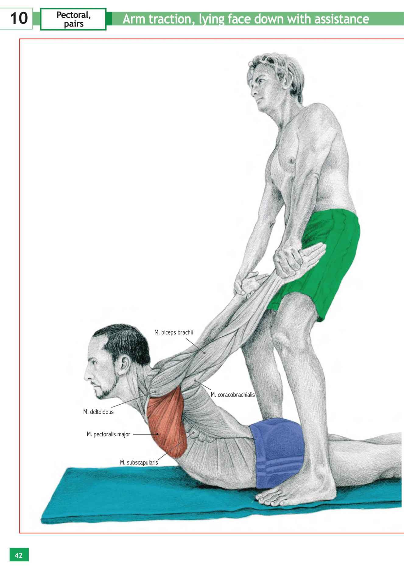 Stretching Workouts Encyclopedia - photo 38