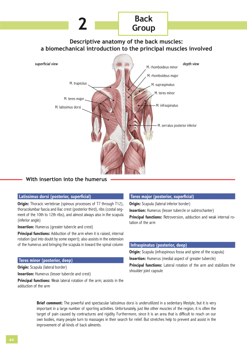 Stretching Workouts Encyclopedia - photo 40