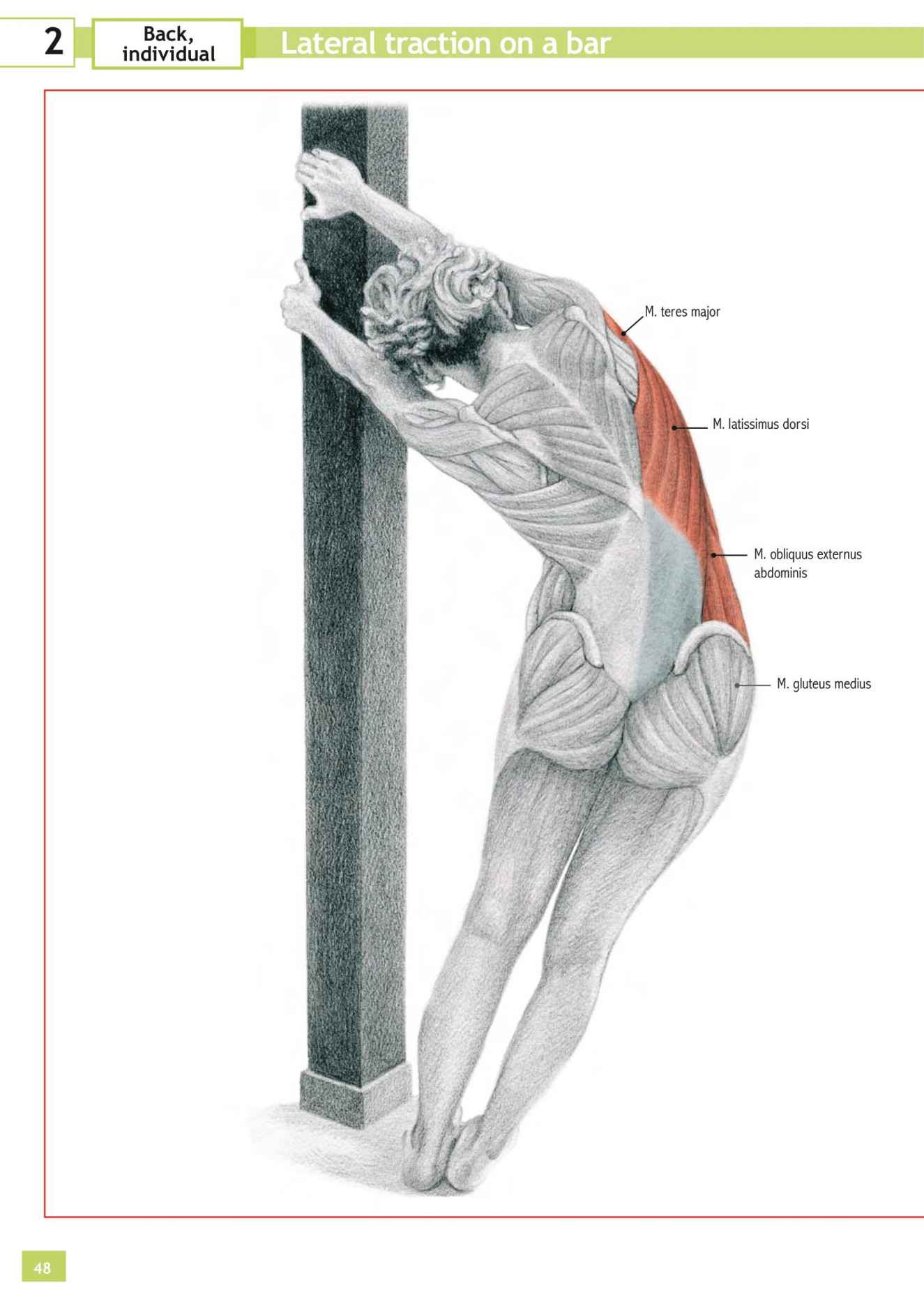 Stretching Workouts Encyclopedia - photo 44