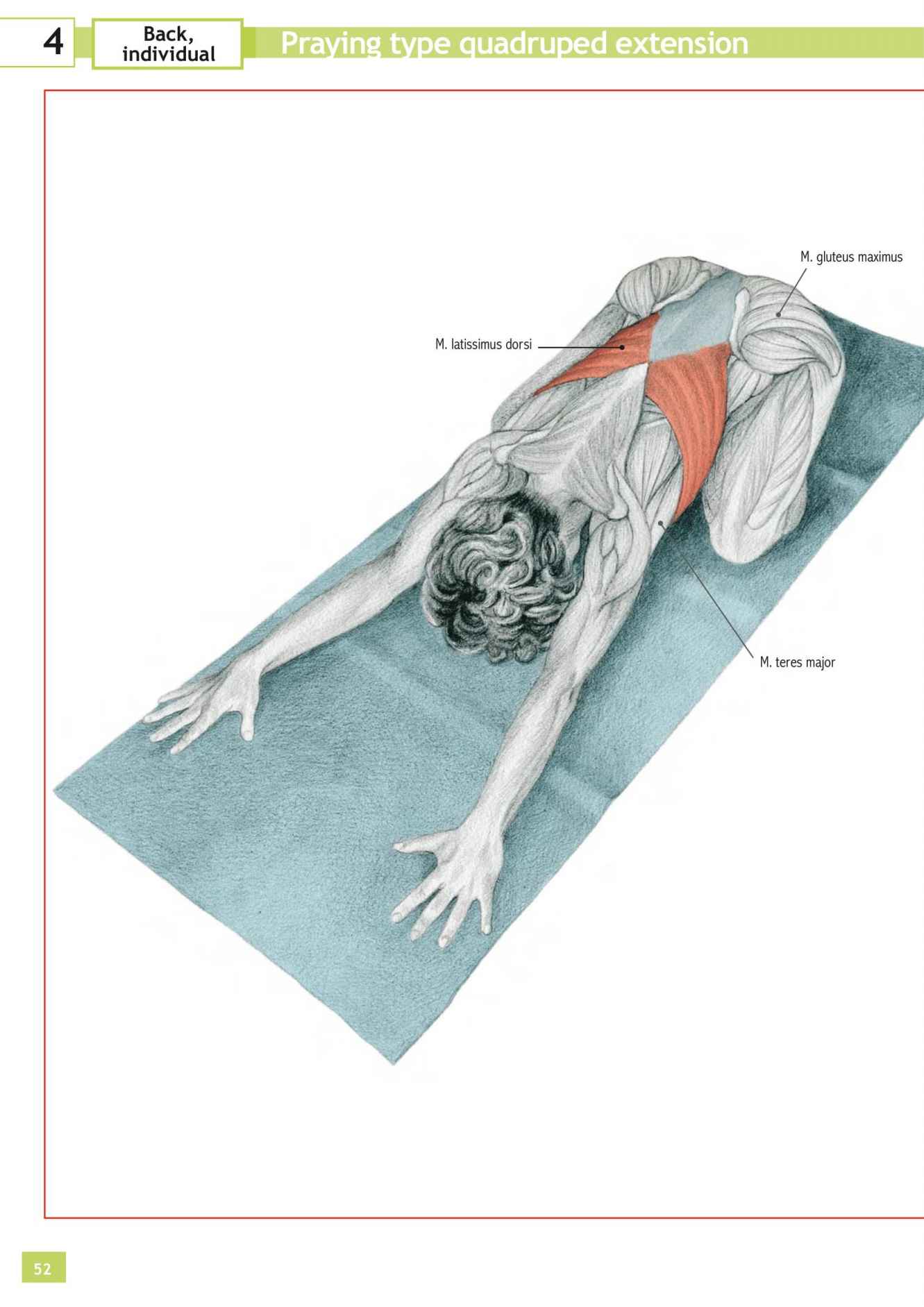 Stretching Workouts Encyclopedia - photo 48