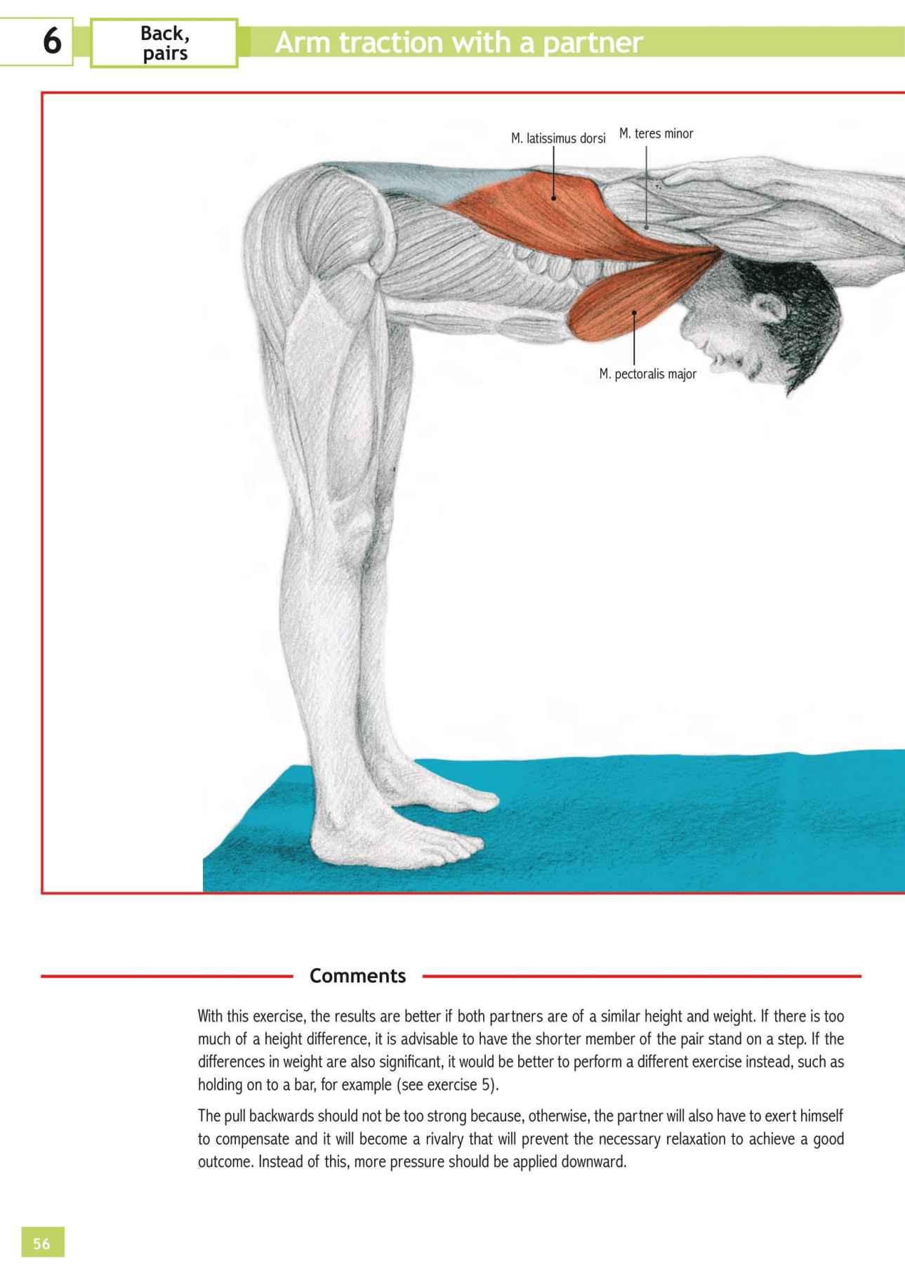 Stretching Workouts Encyclopedia - photo 52