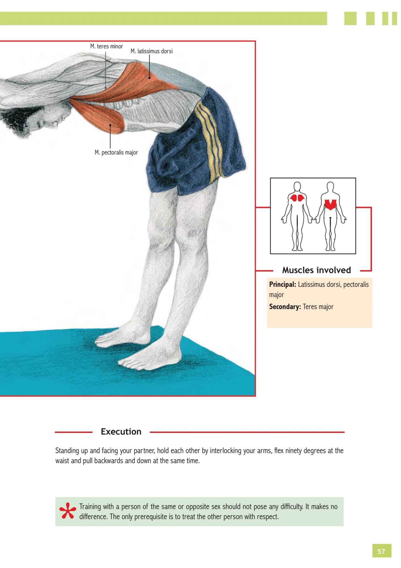 Stretching Workouts Encyclopedia - photo 53