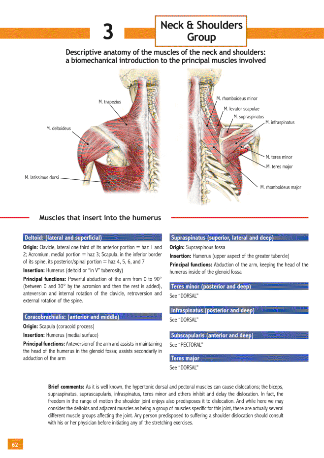 Stretching Workouts Encyclopedia - photo 58