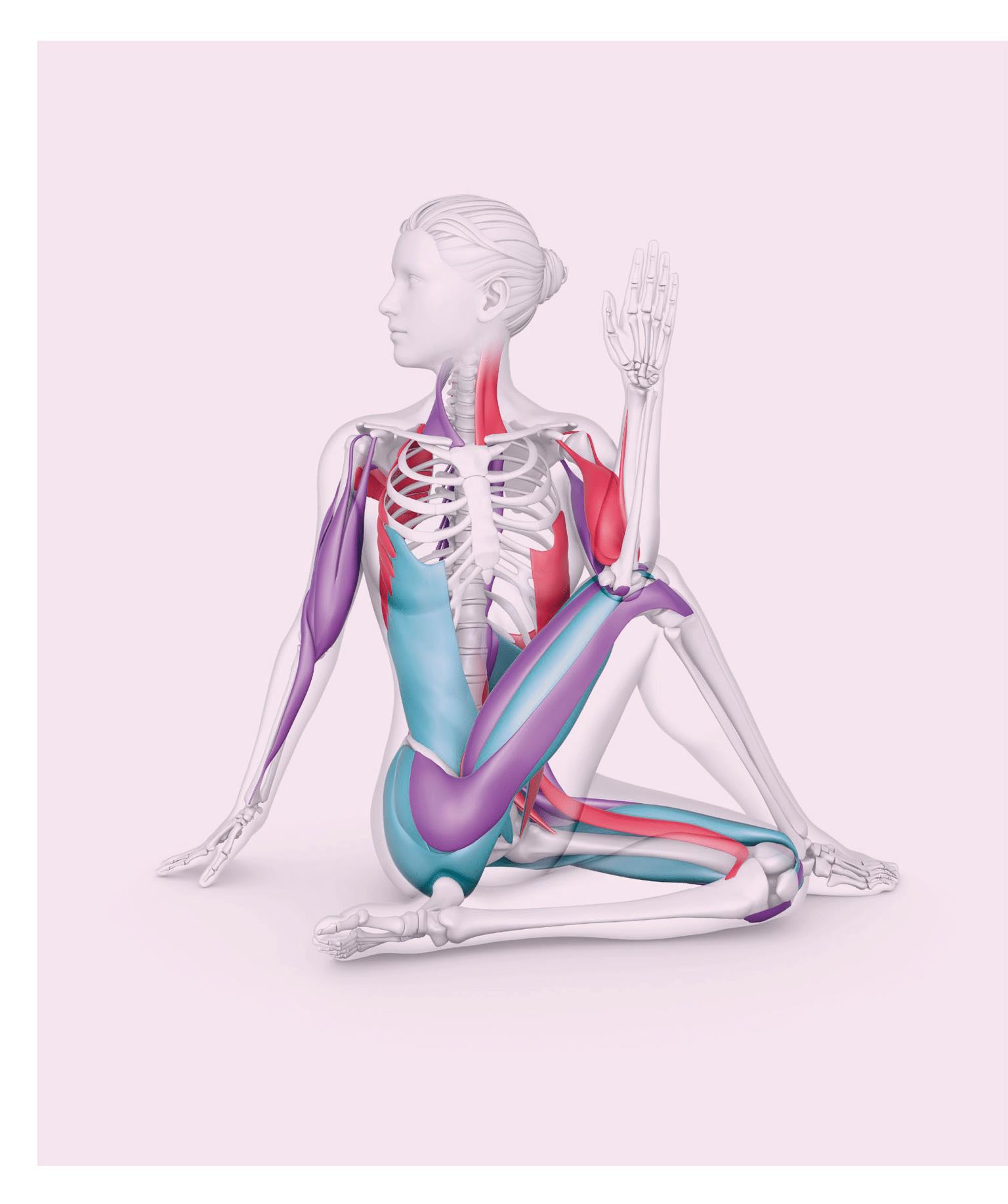 Science of Yoga Recognize the Anatomy and Physiology to Perfect Your Method - photo 2