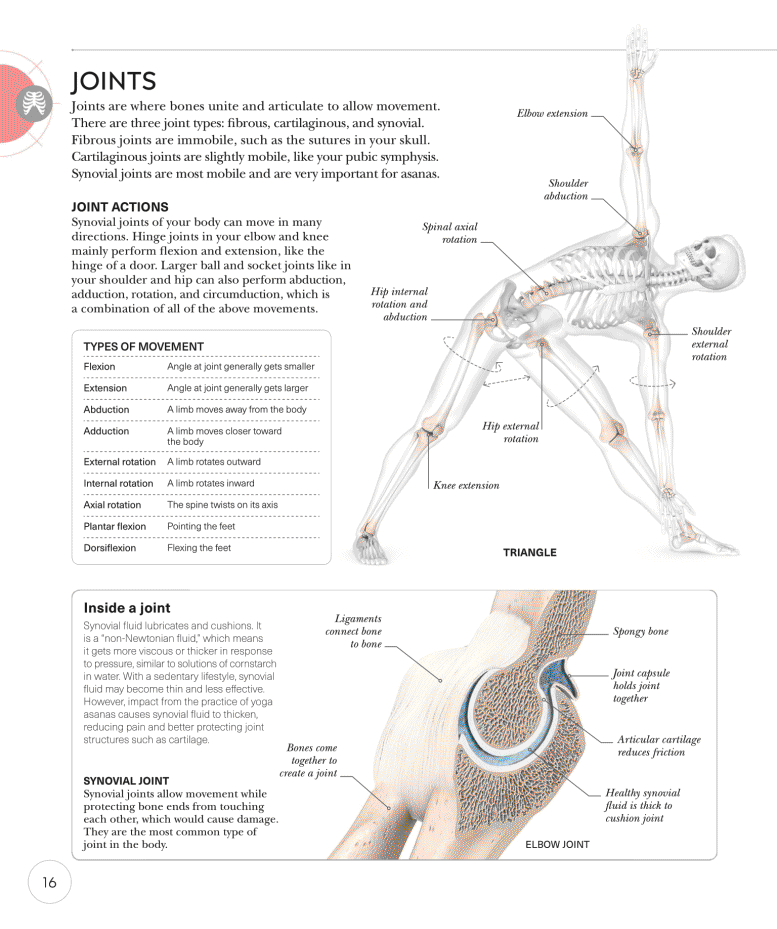 Science of Yoga Recognize the Anatomy and Physiology to Perfect Your Method - photo 16