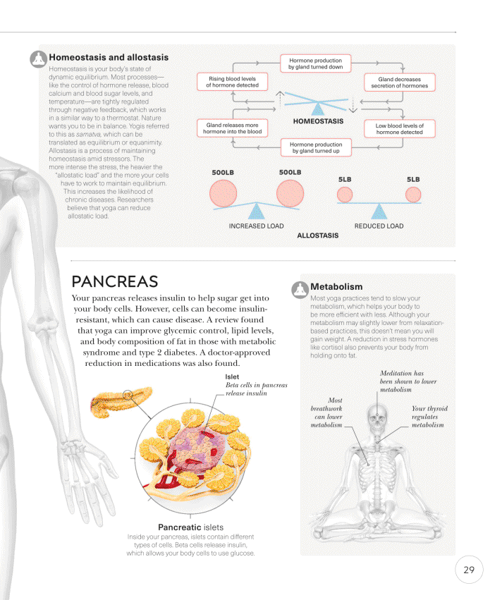 Science of Yoga Recognize the Anatomy and Physiology to Perfect Your Method - photo 29