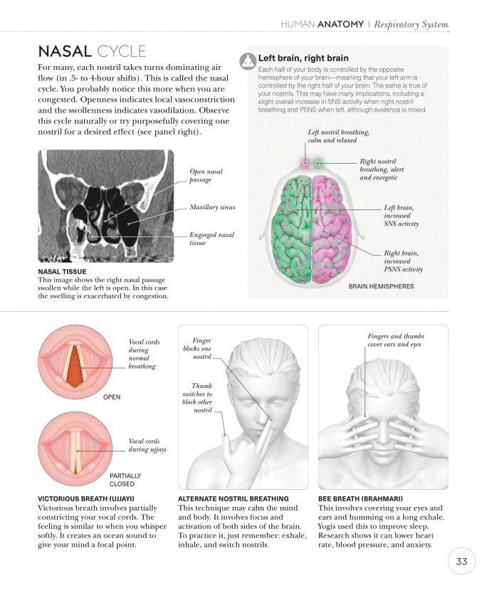 Science of Yoga Recognize the Anatomy and Physiology to Perfect Your Method - photo 33