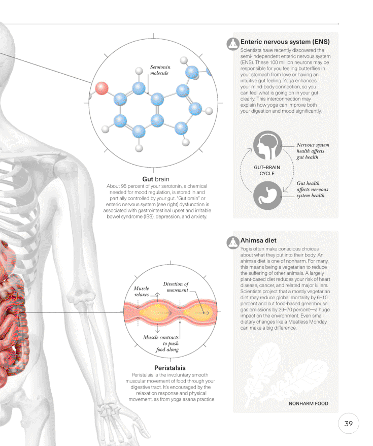 Science of Yoga Recognize the Anatomy and Physiology to Perfect Your Method - photo 39