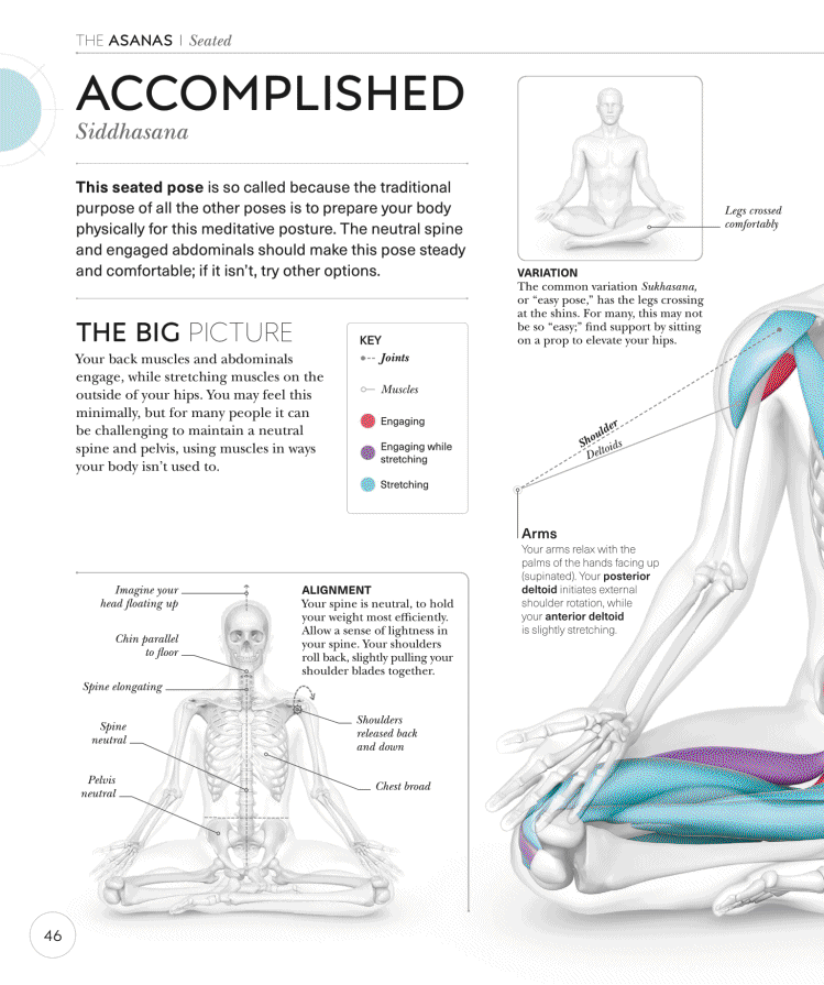 Science of Yoga Recognize the Anatomy and Physiology to Perfect Your Method - photo 46