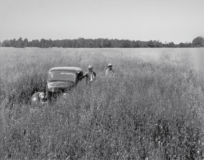 Florist and nurseryman Herman Owen at left with his 1937 Ford V8 and an - photo 13