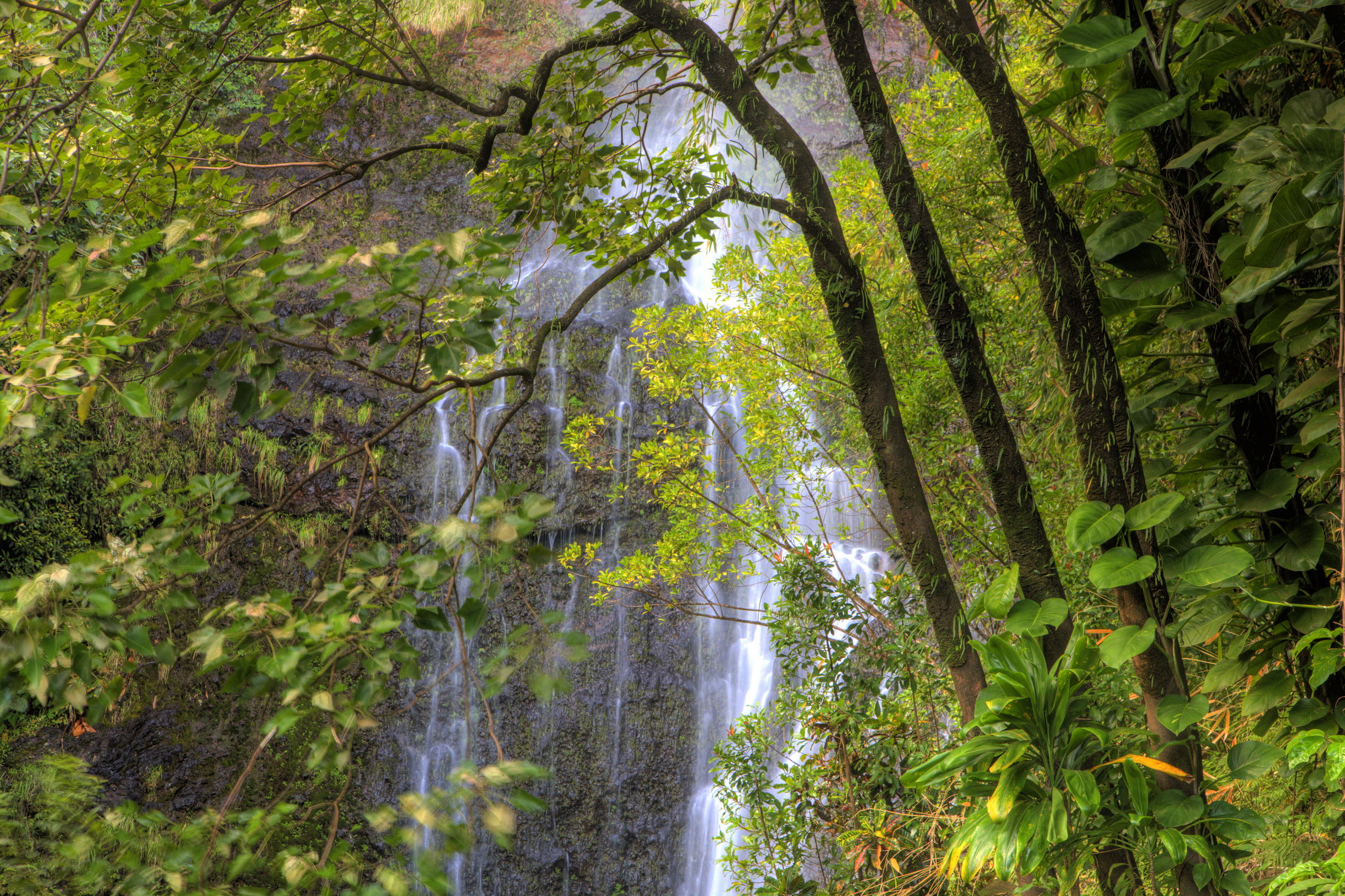 near Hana DARRELL GULIN GETTY IMAGES By Amy C Balfour Writer - photo 8