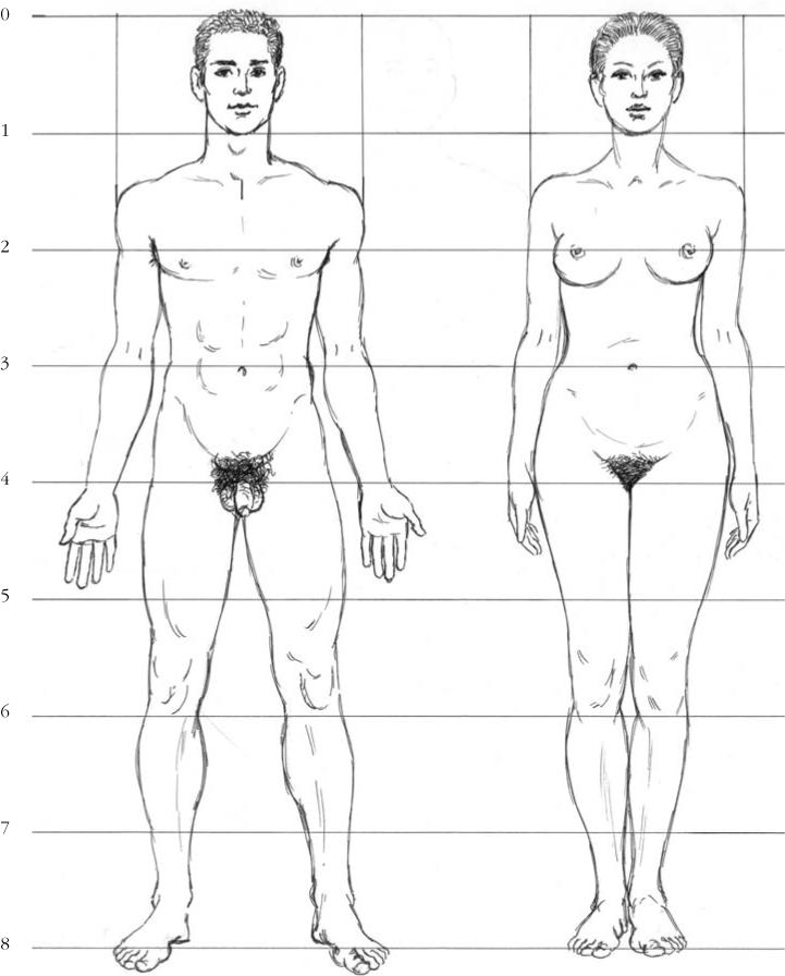 These drawings assume the male and female are both exactly the same height - photo 5