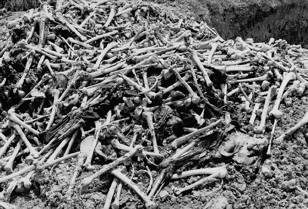 Fig 1a Choeung Ek mass grave exhumation site in 1980 Photograph by Ben - photo 3