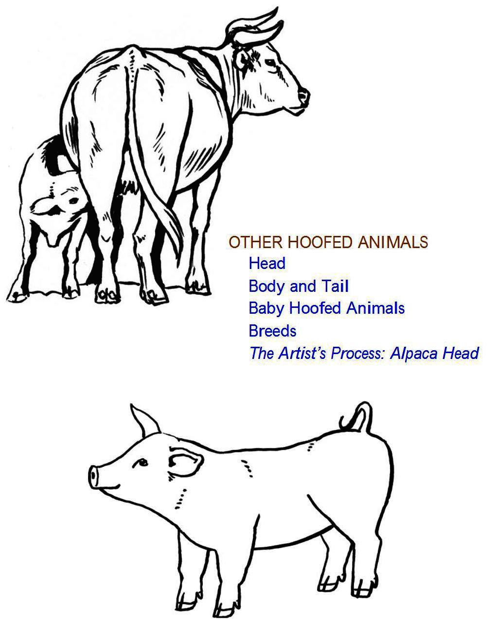 How to Draw Other Hoofed Animals Step-by-Step For Student - photo 1