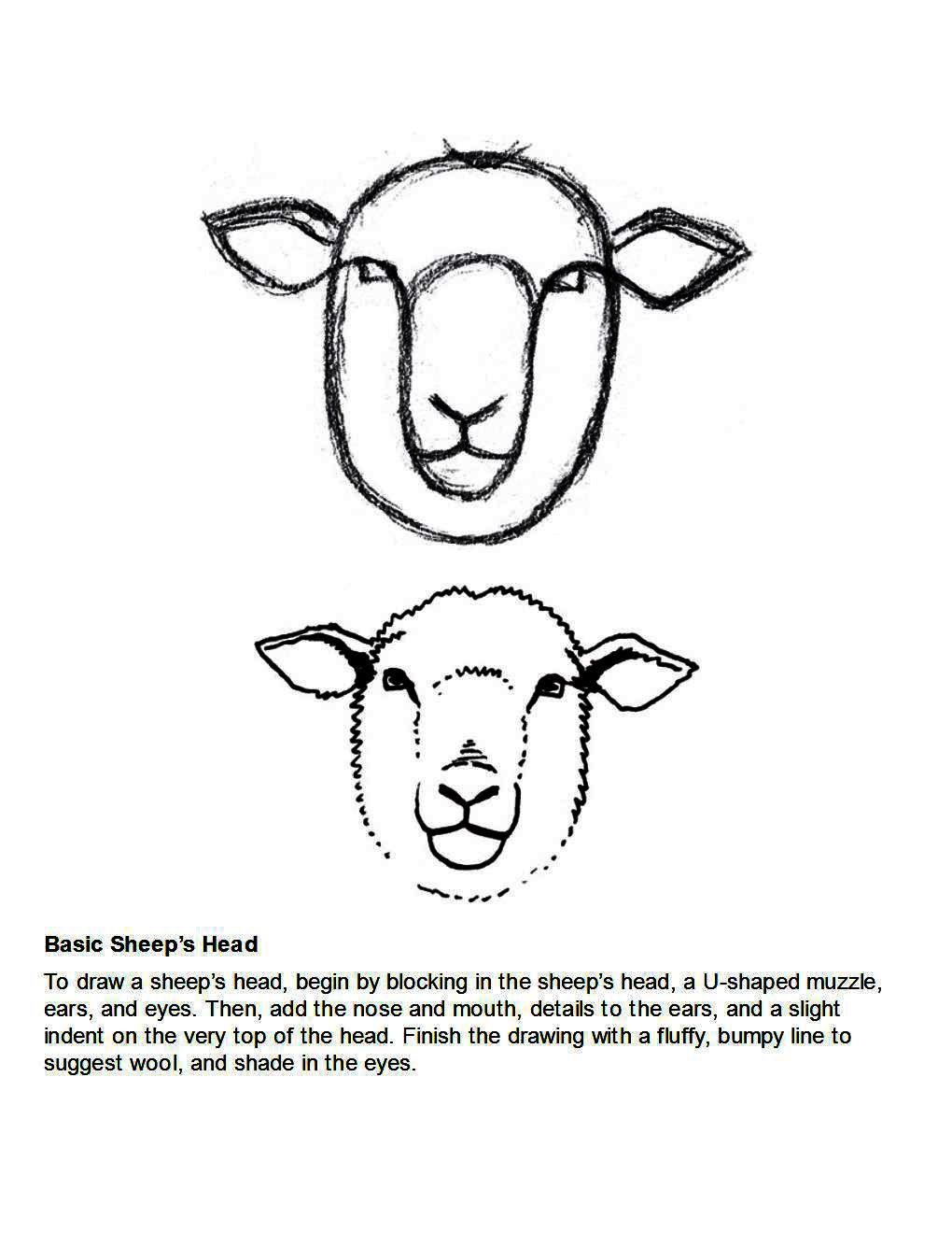 How to Draw Other Hoofed Animals Step-by-Step For Student - photo 10