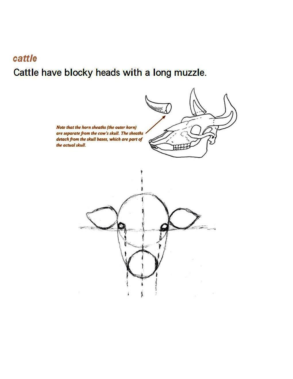 How to Draw Other Hoofed Animals Step-by-Step For Student - photo 12