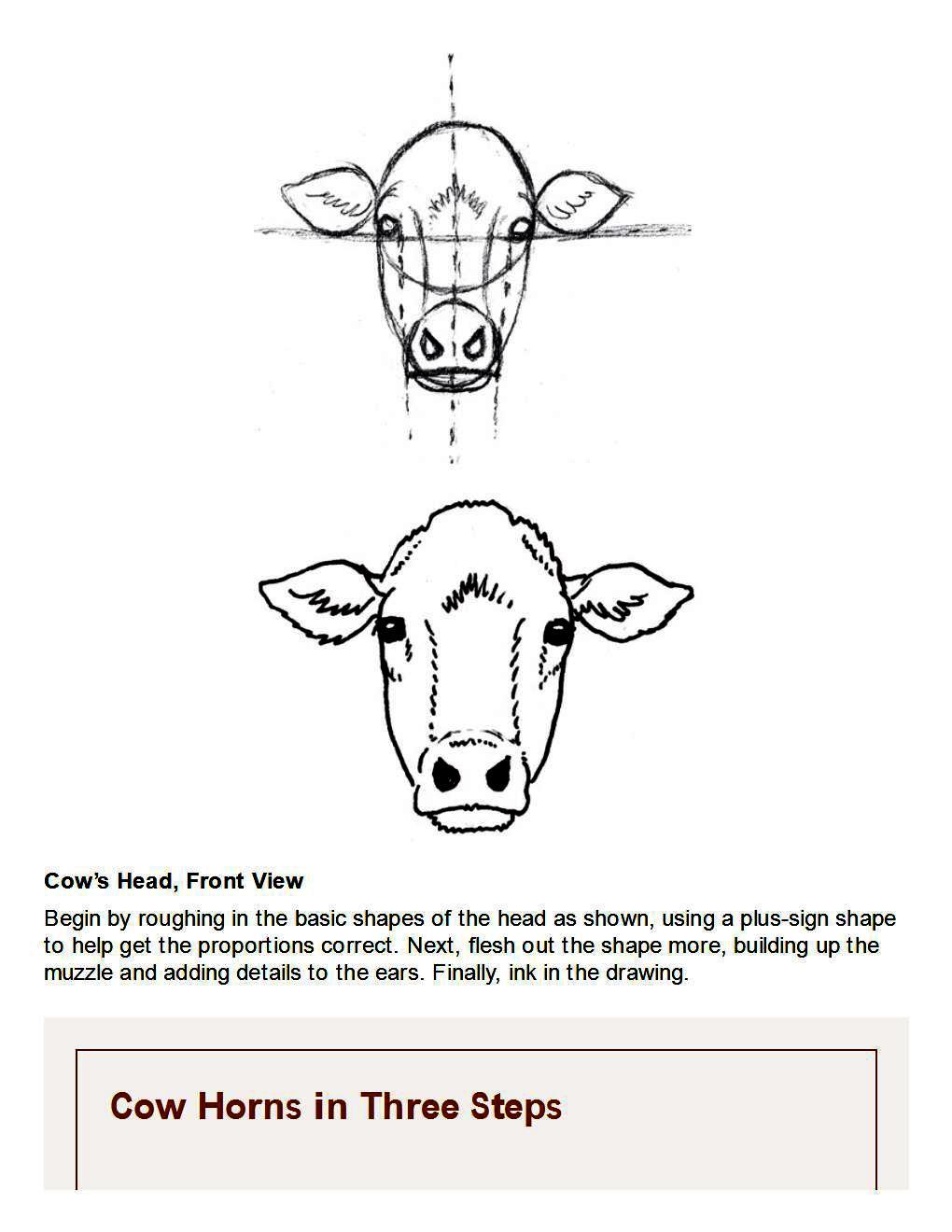 How to Draw Other Hoofed Animals Step-by-Step For Student - photo 13