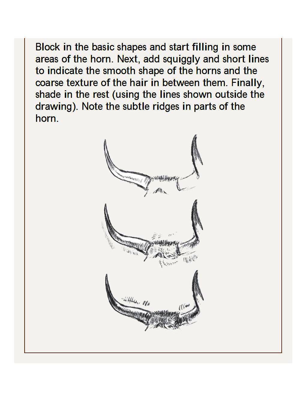 How to Draw Other Hoofed Animals Step-by-Step For Student - photo 14